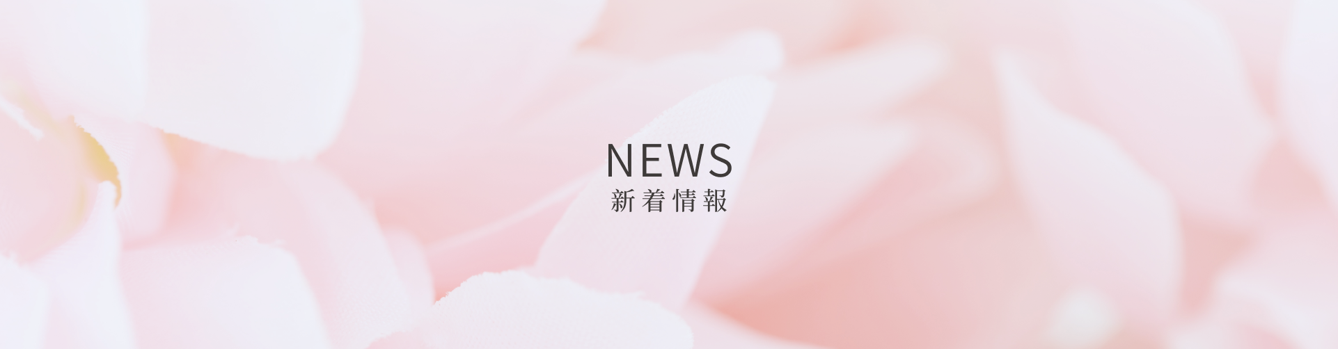 新着情報
